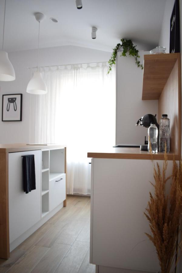 Voya Nordic Apartment-A Luxury Oasis In The Old Town Braşov Exteriör bild